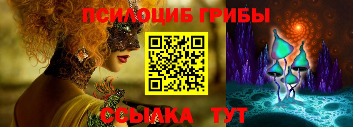 Псилоцибиновые грибы Psilocybine cubensis  Вход с VPN  Ачинск  Псилоцибиновые грибы Psilocybine cubensis 